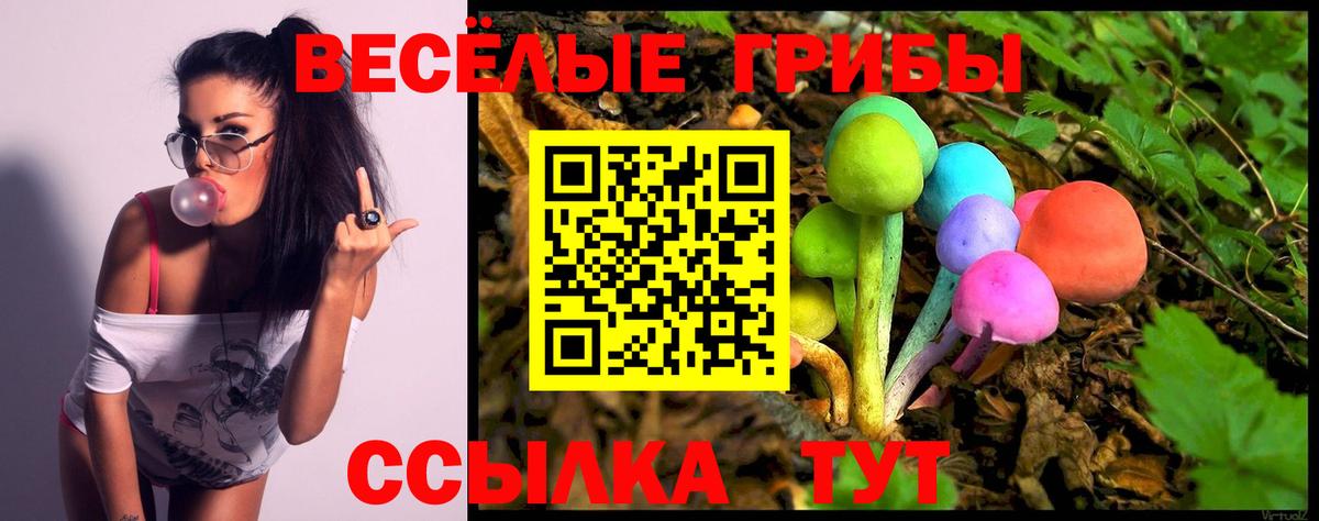 Сатка  Псилоцибиновые грибы мицелий  Вход с VPN 